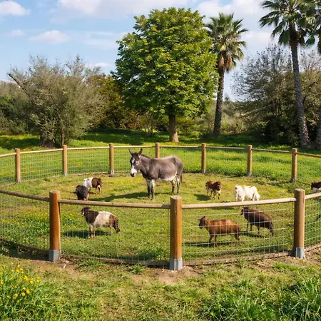 De Santis Relax E Natura
