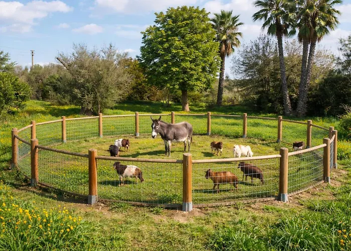 De Santis Relax E Natura