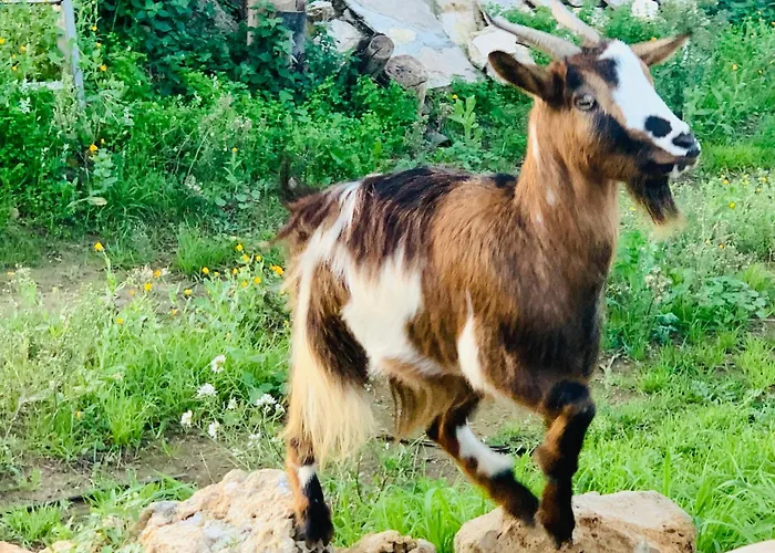 De Santis Relax E Natura Gallipoli