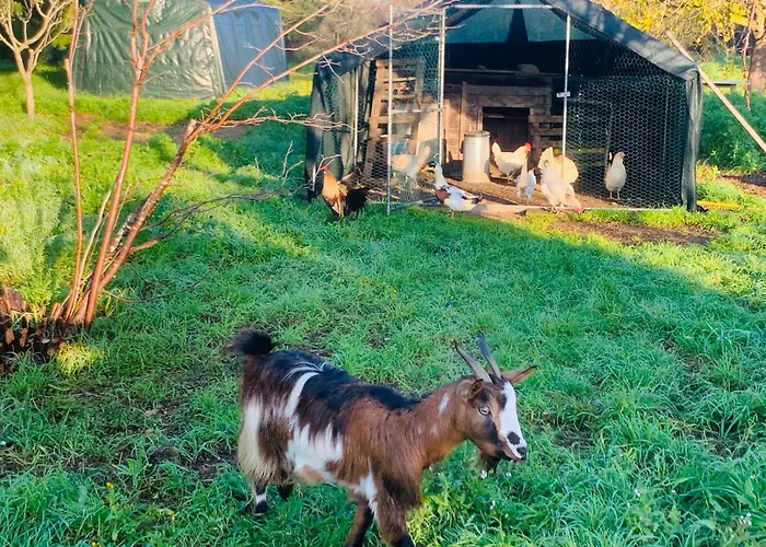 De Santis Relax E Natura Apartment Gallipoli