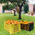 De Santis Relax E Natura *