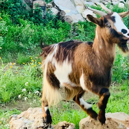 De Santis Relax E Natura A Gallipoli