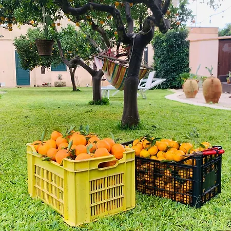 De Santis Relax E Natura A *