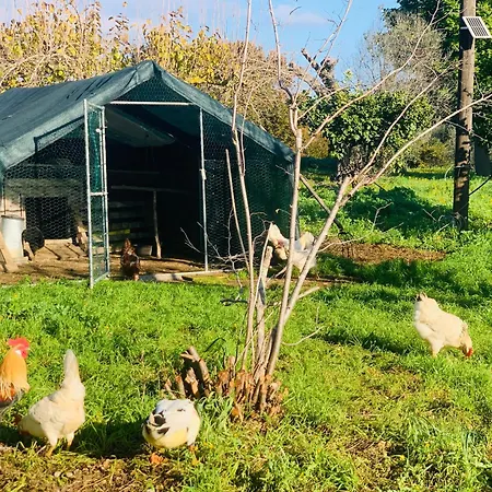 Appartamento De Santis Relax E Natura A