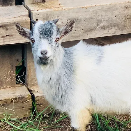 De Santis Relax E Natura A * Gallipoli