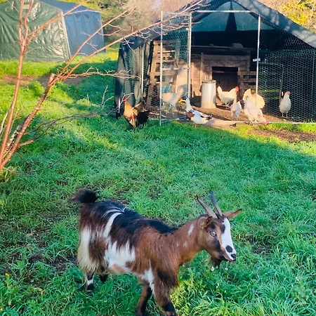 De Santis Relax E Natura Apartment Gallipoli