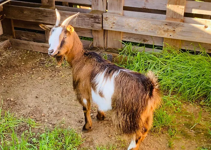 De Santis Relax E Natura Apartament Gallipoli