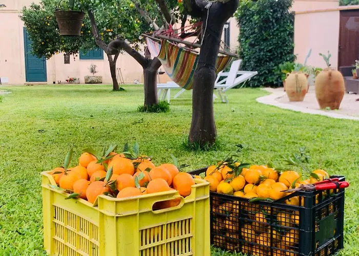 De Santis Relax E Natura *