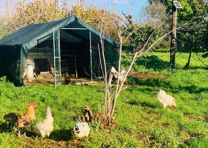 Apartament De Santis Relax E Natura