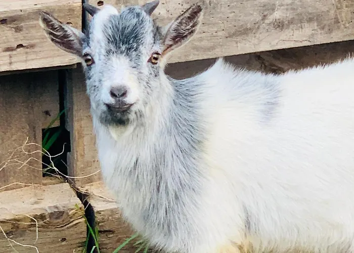 De Santis Relax E Natura * Gallipoli