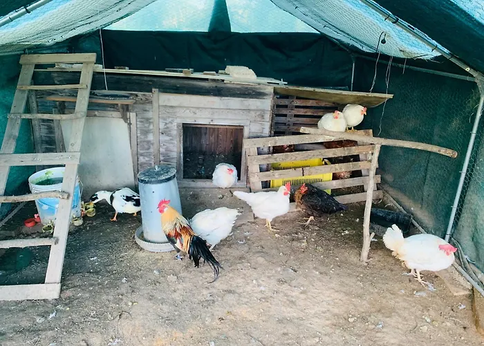 Apartament De Santis Relax E Natura